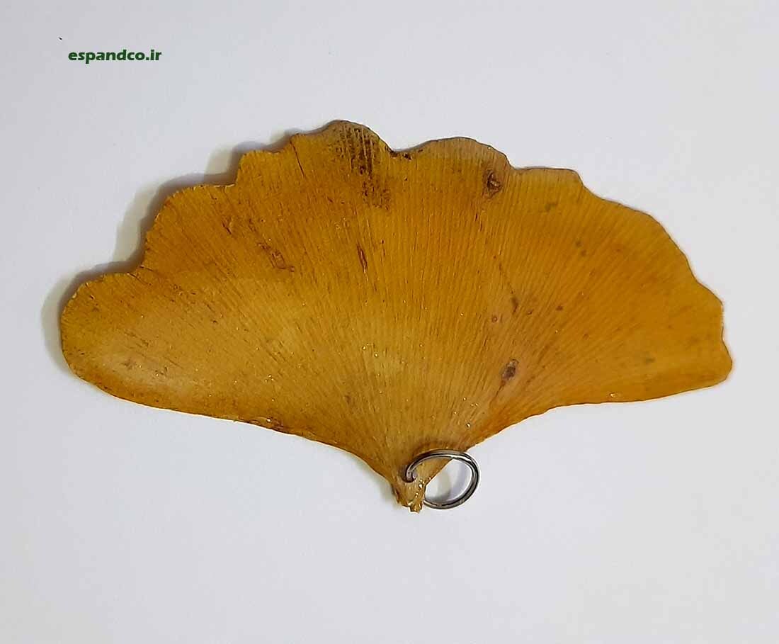  سازه هنری ژینگو 